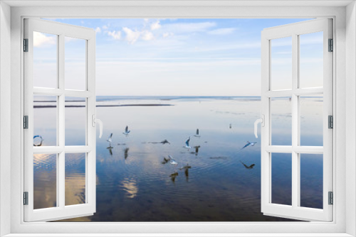 Fototapeta Naklejka Na Ścianę Okno 3D - Seagulls in the mirror shallow waters of the Gulf of Finland