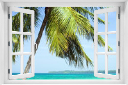 Fototapeta Naklejka Na Ścianę Okno 3D - Palm Tree and the Sea