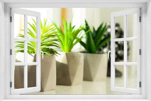 Fototapeta Naklejka Na Ścianę Okno 3D - Set of potted house plant cactus succulent in gray pots on white on the windowsill. Cozy home modern decor in minimalistic scandinavian interior.