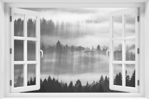 Fototapeta Naklejka Na Ścianę Okno 3D - Long Shadows