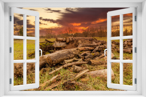 Fototapeta Naklejka Na Ścianę Okno 3D - Altes morsches Holz unter dramatischen Himmel