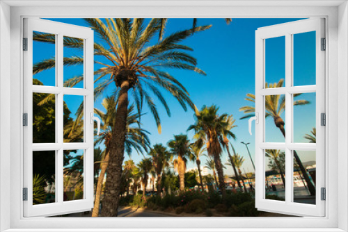 Fototapeta Naklejka Na Ścianę Okno 3D - palm trees on beach at sunset-San Antoni-Ibiza