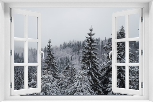Fototapeta Naklejka Na Ścianę Okno 3D - Winter forest with snow-covered trees. Snowy landscape with pine forest