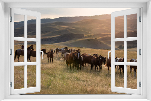 Fototapeta Naklejka Na Ścianę Okno 3D - Ranch Horses