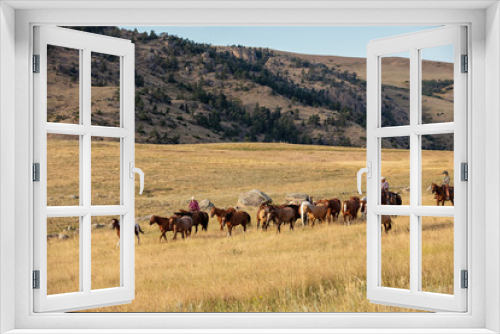 Fototapeta Naklejka Na Ścianę Okno 3D - Herding Horses