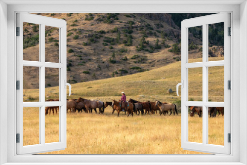 Fototapeta Naklejka Na Ścianę Okno 3D - Herding Horses