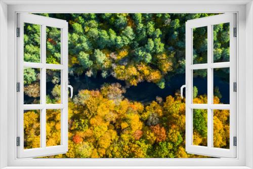 Fototapeta Naklejka Na Ścianę Okno 3D - Aerial view of yellow and green forest in autumn