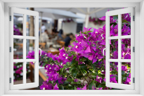 Fototapeta Naklejka Na Ścianę Okno 3D - Frühling Sommer Blumen pink rosa outside draussen Restaurant