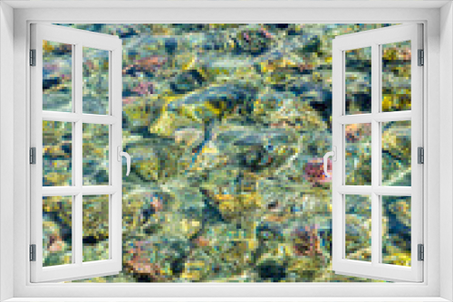 Fototapeta Naklejka Na Ścianę Okno 3D - Coral under clear water. Abstract marine background. Vertical photo. Blurry