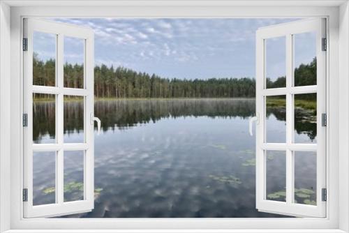 Fototapeta Naklejka Na Ścianę Okno 3D - A picturesque lake in a coniferous forest. Reflection of Cirrus clouds in the water. Water surface. Aquatic vegetation. Beautiful small clouds. Ecology. Environmental protection