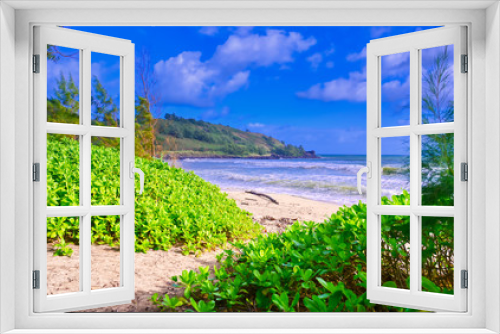 Fototapeta Naklejka Na Ścianę Okno 3D - The beach along the coast of Kauai, Hawaii.