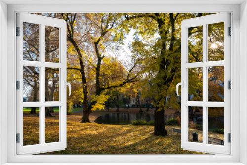 Fototapeta Naklejka Na Ścianę Okno 3D - Parkanlage in Köln im Herbst