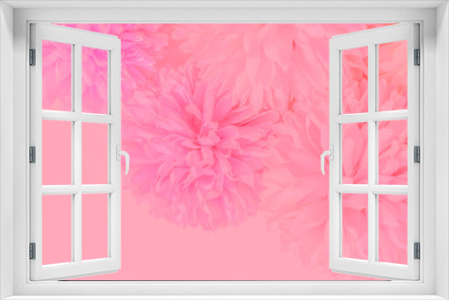 Fototapeta Naklejka Na Ścianę Okno 3D - Beautiful abstract color white and pink flowers on white background and white flower frame and orange leaves background texture, flowers banner, pink background, colorful white banner happy valentine