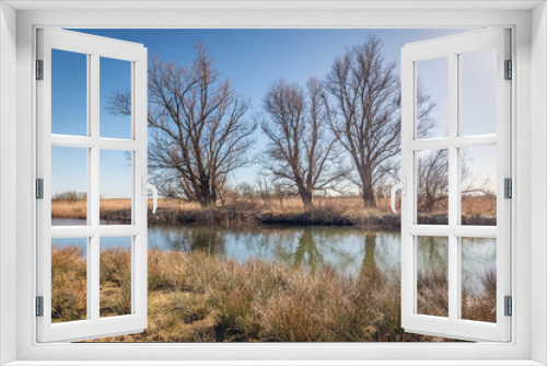 Fototapeta Naklejka Na Ścianę Okno 3D - Tall trees against bright blue sky