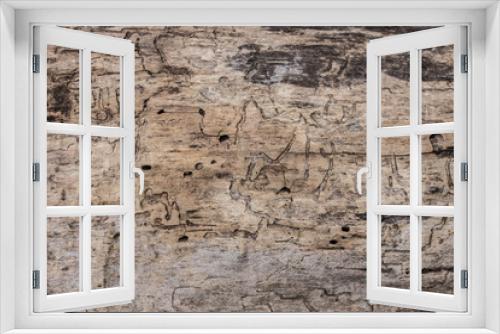 Fototapeta Naklejka Na Ścianę Okno 3D -  texture of old termite eaten wood