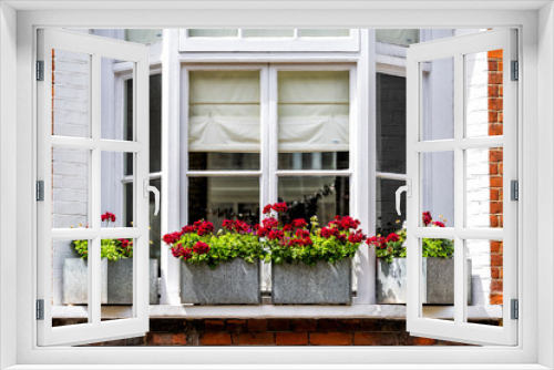 Fototapeta Naklejka Na Ścianę Okno 3D - London city downtown with closeup of large bay window and red green flower decorations on sunny summer day and nobody architecture in Pimlico