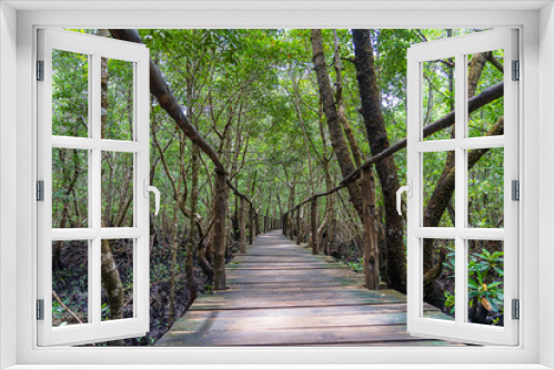 Fototapeta Naklejka Na Ścianę Okno 3D - Wooden walkway along mangroves on the tropical island of Zanzibar, Tanzania, Africa