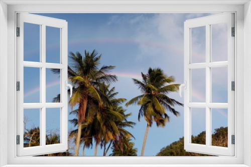 Fototapeta Naklejka Na Ścianę Okno 3D - palm trees on the beach rainbows mountains Puerto Rico