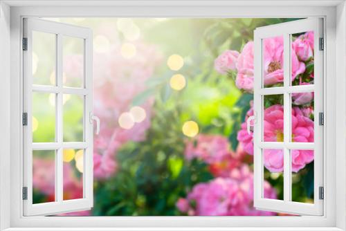 Fototapeta Naklejka Na Ścianę Okno 3D - Mysterious fairy tale spring floral banner with fabulous blooming pink rose flowers in summer garden on blurred green sunny bright shiny glowing background with shining light bokeh and copy space