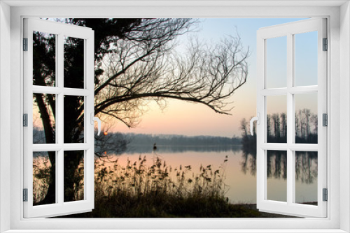 Fototapeta Naklejka Na Ścianę Okno 3D - Beautiful winter landscape scene wildlife nature with animals ducks and white swans swimming in lake, mirror reflections with trees, Palatina, Germany in Europe.