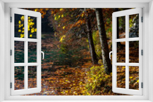 Fototapeta Naklejka Na Ścianę Okno 3D - Herbstlandschaft in Italien