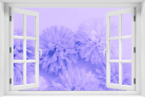 Fototapeta Naklejka Na Ścianę Okno 3D - Beautiful abstract color blue and purple flowers on white background and blue flower frame and pink leaves texture, light purple background, colorful banner happy valentine
