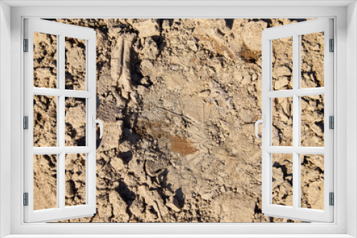 Fototapeta Naklejka Na Ścianę Okno 3D - Footprint on the yellow sand for background or texture