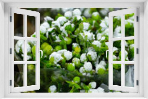 Fototapeta Naklejka Na Ścianę Okno 3D - Multi-colored flowers berries hypericum coco casino, snow green, white. Wholesale floristic base, shop with flowers for Valentine's Day on February 14 or International Women's Day on March 8.