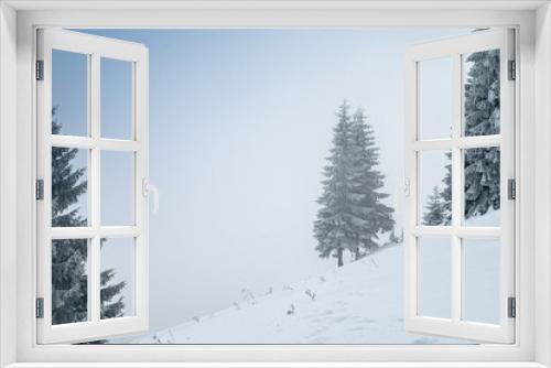 Fototapeta Naklejka Na Ścianę Okno 3D - Conifer tree in misty white winter landscape, Background photo in Christmas time