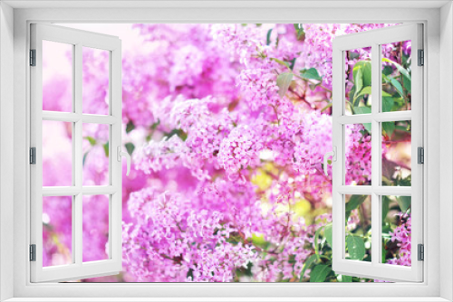 Fototapeta Naklejka Na Ścianę Okno 3D - Spring blossoming lilac flowers in garden, selective focus, toned, light bokeh background, pastel and soft floral card