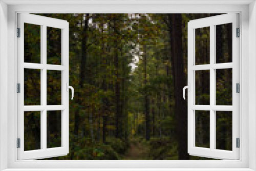 Fototapeta Naklejka Na Ścianę Okno 3D - Ruegen Herbst tag outdoor reise