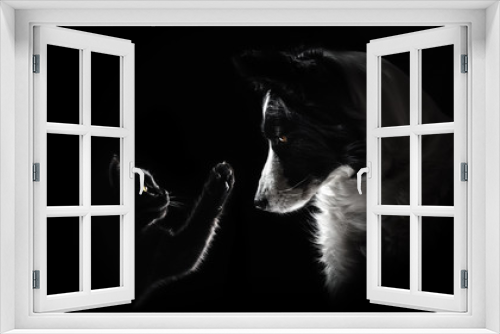 Fototapeta Naklejka Na Ścianę Okno 3D - cat and dog lovely portrait on a black background magic light friendship animal