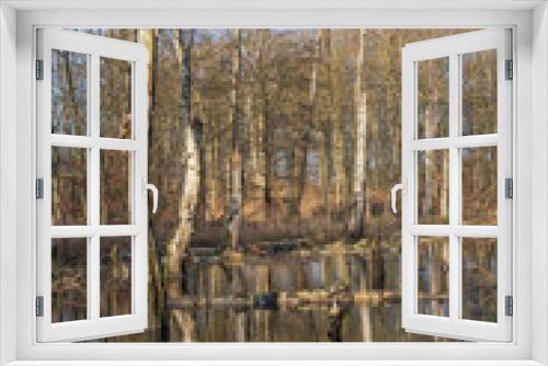 Fototapeta Naklejka Na Ścianę Okno 3D - Flooded forest with reflections in the water