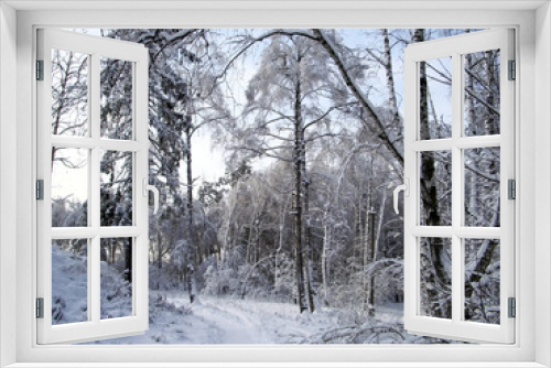 Fototapeta Naklejka Na Ścianę Okno 3D - In the winter forest, the trees are covered with snow. The branches of the trees bend under the weight of the snow to the bottom. A well-trodden forest path winds through the trees.