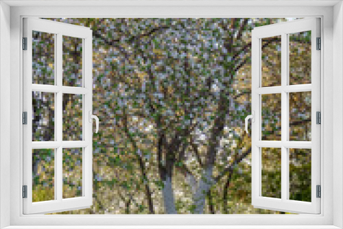 Fototapeta Naklejka Na Ścianę Okno 3D - Beautiful blossoming apple trees in garden at sunset. Natural spring background, picturesque landscape. Springtime, gardening concept