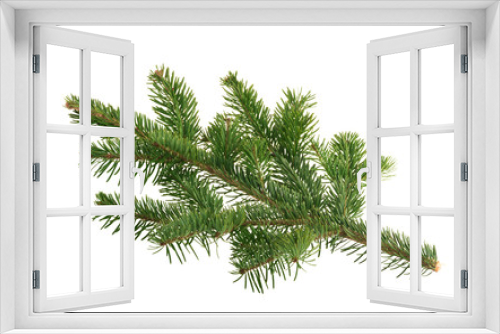 Fototapeta Naklejka Na Ścianę Okno 3D - Fir tree isolated on white background