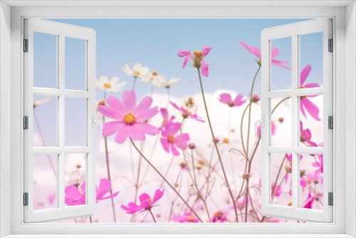 Fototapeta Naklejka Na Ścianę Okno 3D - Pink cosmos flower and the sky in pink vintage style.