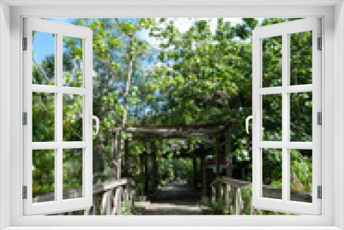 Fototapeta Naklejka Na Ścianę Okno 3D - Road Town Botanical Garden Wooden Path