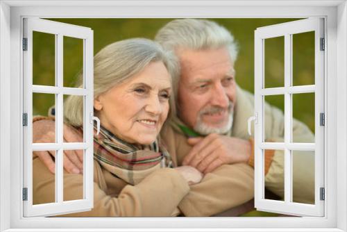 Smiling senior couple embracing in autumn park