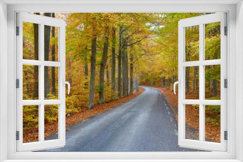 Fototapeta Naklejka Na Ścianę Okno 3D - Autumn forest. Forest with country road at sunset. Colorful landscape with trees, rural road, orange leaves and blue sky. Travel. Autumn background. Magic forest.