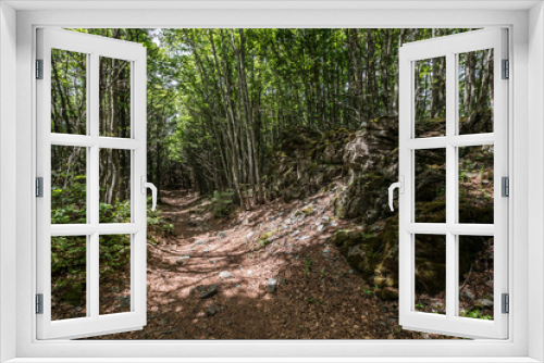 Fototapeta Naklejka Na Ścianę Okno 3D - Parco Nazionale delle Foreste Casentinesi, Italy