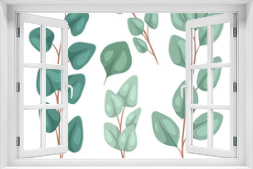 Fototapeta Naklejka Na Ścianę Okno 3D - Botanical flat illustration of eucalyptus populus. Set of hand drawn eucalyptus branches with foliage and hatching. Vector color objects for articles, cards and your design.