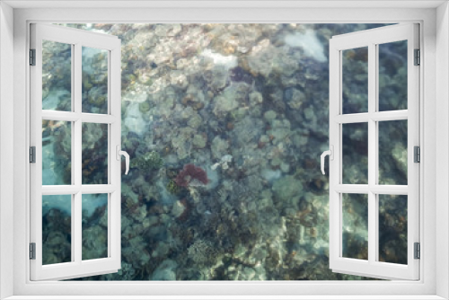 Fototapeta Naklejka Na Ścianę Okno 3D - view of a coral reef at low tide, during day light in a sunny day.