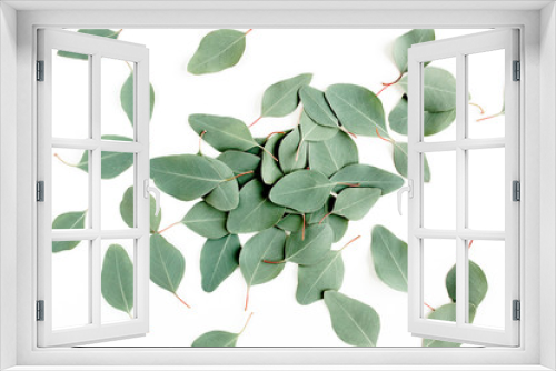 Fototapeta Naklejka Na Ścianę Okno 3D - pattern texture with green leaves eucalyptus populus  isolated on white background. lay flat, top view