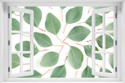Fototapeta Naklejka Na Ścianę Okno 3D - Abstract pattern/texture with green leaves eucalyptus populus isolated on white background. Flat lay, top view