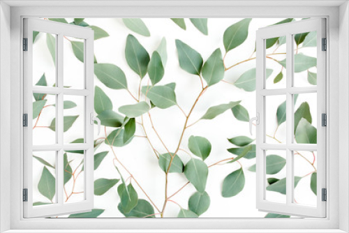 Fototapeta Naklejka Na Ścianę Okno 3D - Round frame made green leaves eucalyptus populus isolated on white background. Flat lay, top view