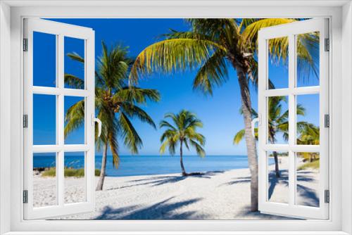 Fototapeta Naklejka Na Ścianę Okno 3D - Palm tree on sandy Smathers Beach on the Atlantic Ocean in Key West Florida on a blue sky summer day with no people
