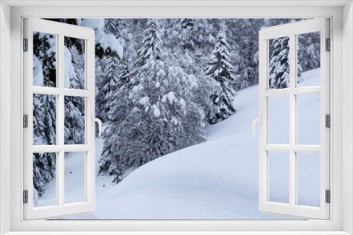 Fototapeta Naklejka Na Ścianę Okno 3D - snowy beautiful white snow pine tree mountain forest landscape