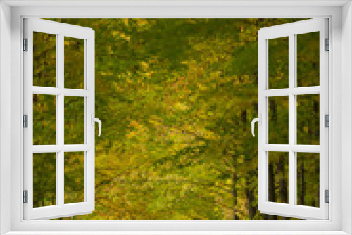 Fototapeta Naklejka Na Ścianę Okno 3D - Fall Leaves on laneway