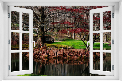 Fototapeta Naklejka Na Ścianę Okno 3D - spring pond